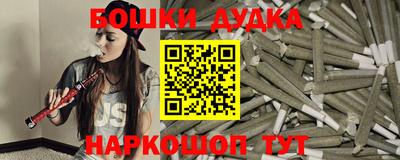 прущие грибы Будённовск