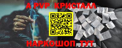 прущие грибы Будённовск