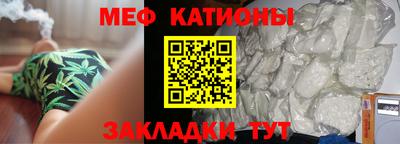 прущие грибы Будённовск