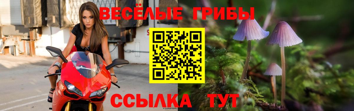 продажа наркотиков  Вход с VPN  Псилоцибиновые грибы ЛСД  Электросталь  Галлюциногенные грибы Psilocybe 