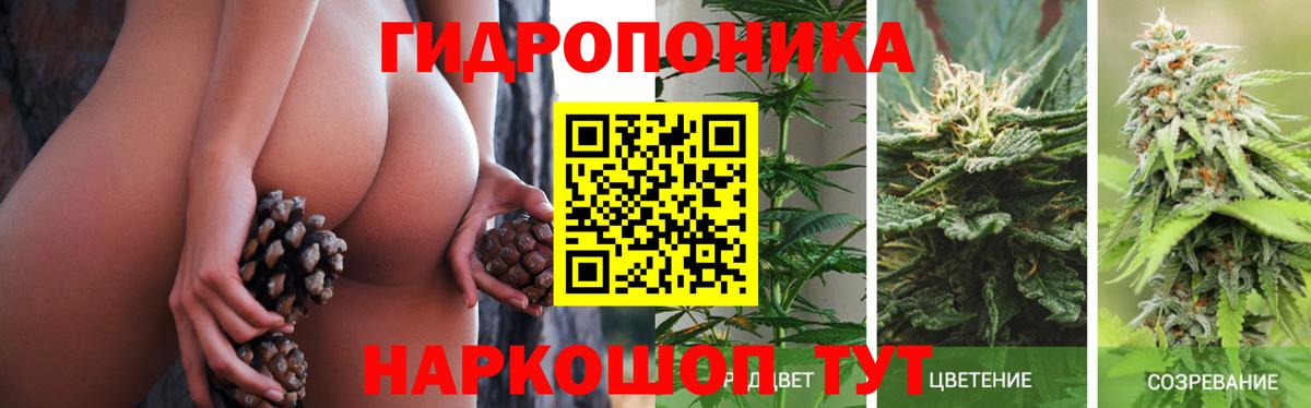 Канабис индика  Бошки марихуана план  Бошки Шишки MAZAR  Электросталь  Вход с VPN  Каннабис индика 